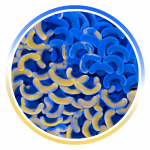 euphyllia logo